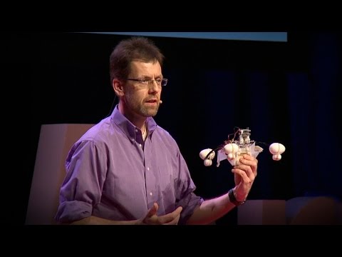 A Robot Eats Pollution and Powers Itself on Dirty Water