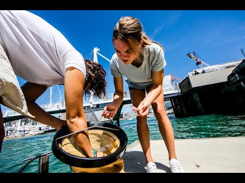 Seabin Project Launches In LA – Cleaning Up Marina Del Rey And Beyond