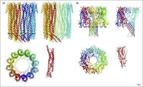 Protein pores packed in polymers make super-efficient filtration membranes