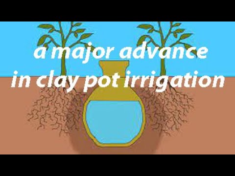 A major advance in clay pot irrigationhttps://www.youtube.com/watch?v=D_DKlpO4SCU&t