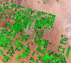 11%of Disappearing Groundwater Used to Grow Internationally Traded Food