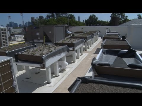 'Living Lab' to Test Water Runoff Systems