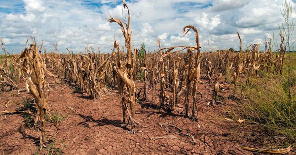 How 1,500 Nuclear-Powered Water Desalination Plants Could Save The World From Desertification