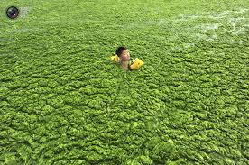 China to spend $330 billion to fight water pollution