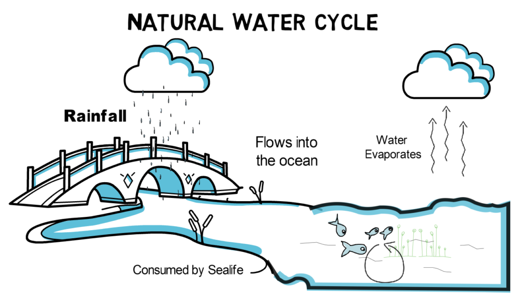 Drinking water cycle – How Many People Consumed My Tap Water Before Me?