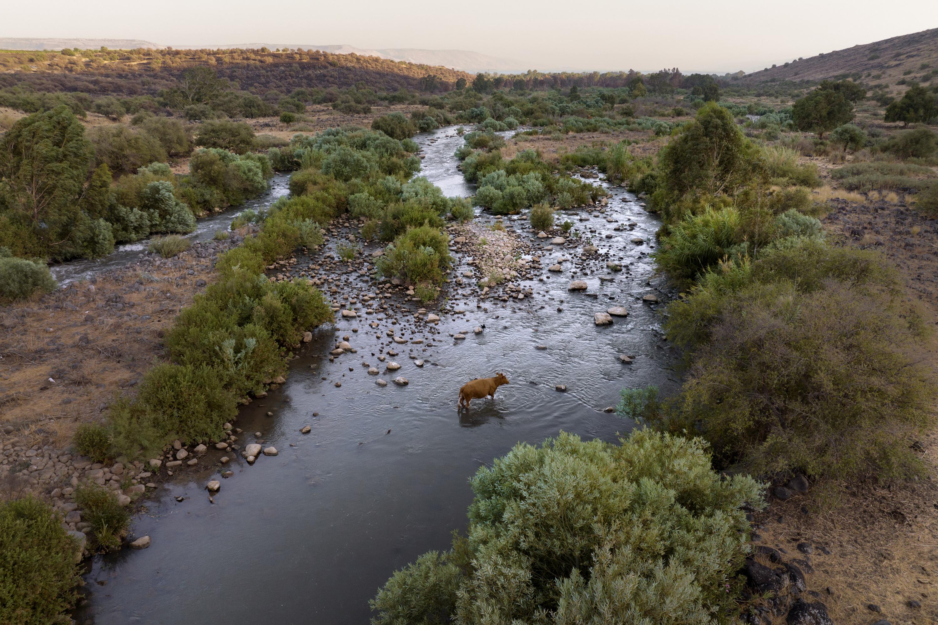 Jordan River, Jesus&#039; baptism site, is today barely a trickle