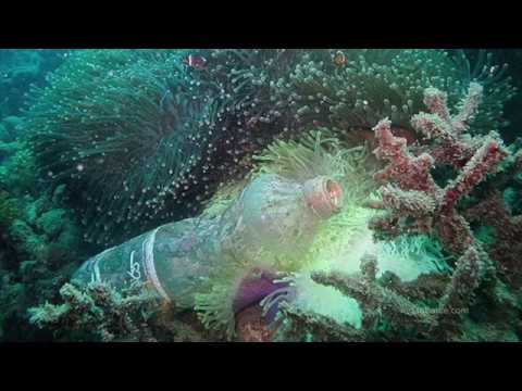 This Biodegradable Plastic Bottle Is Made Out Of Waste