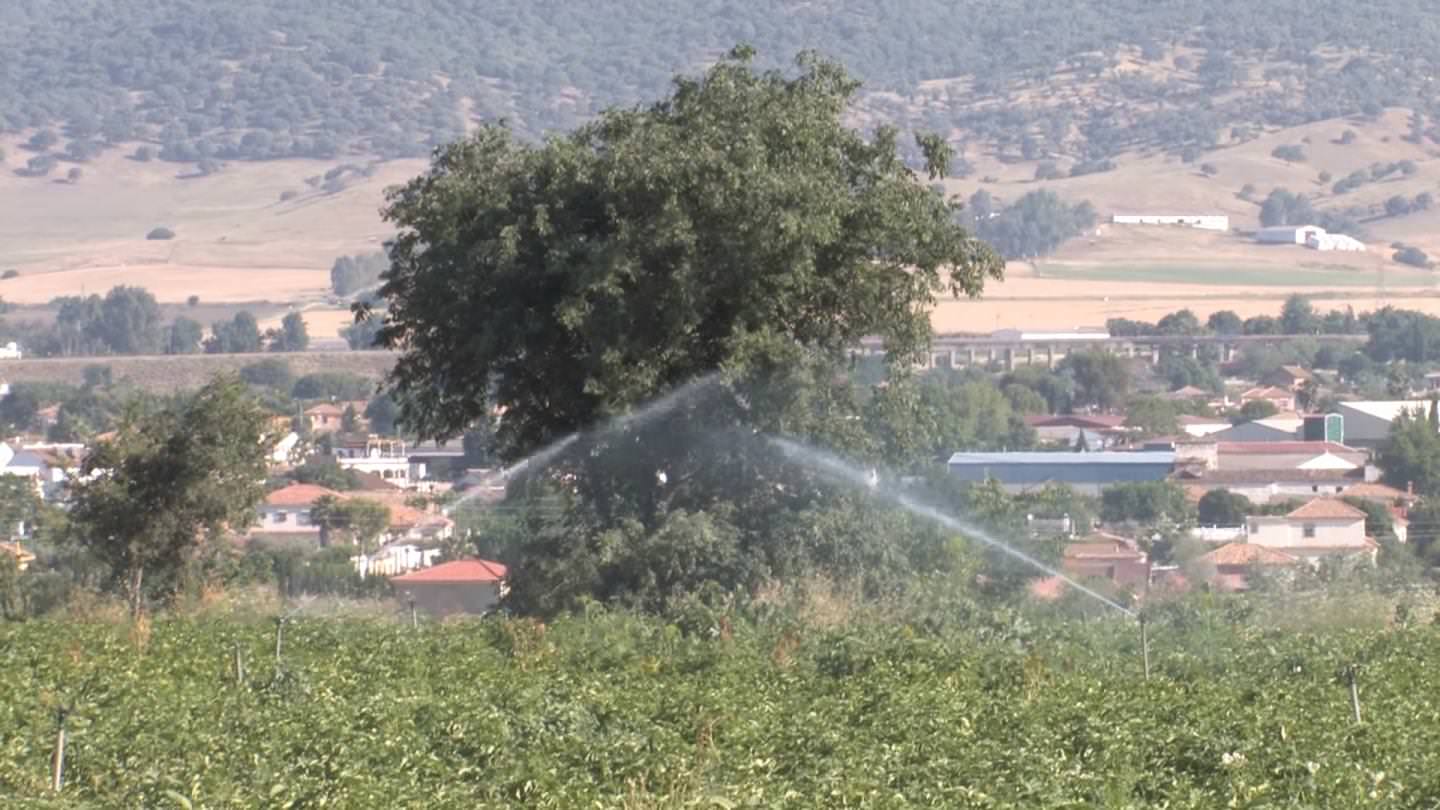 Telemetry and ​Remote Control ​Watering ​Systems – ​Spanish Case ​Study