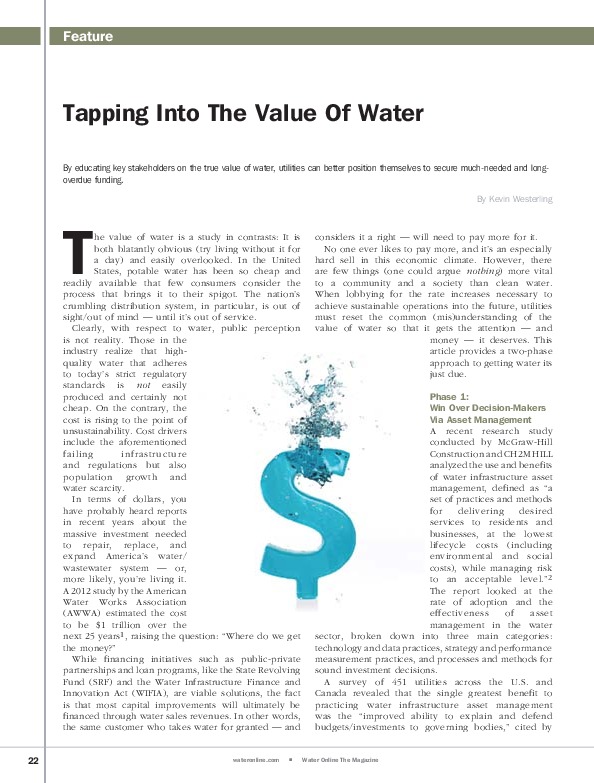 Tapping into the true value of water - Article in Water Online, 2013