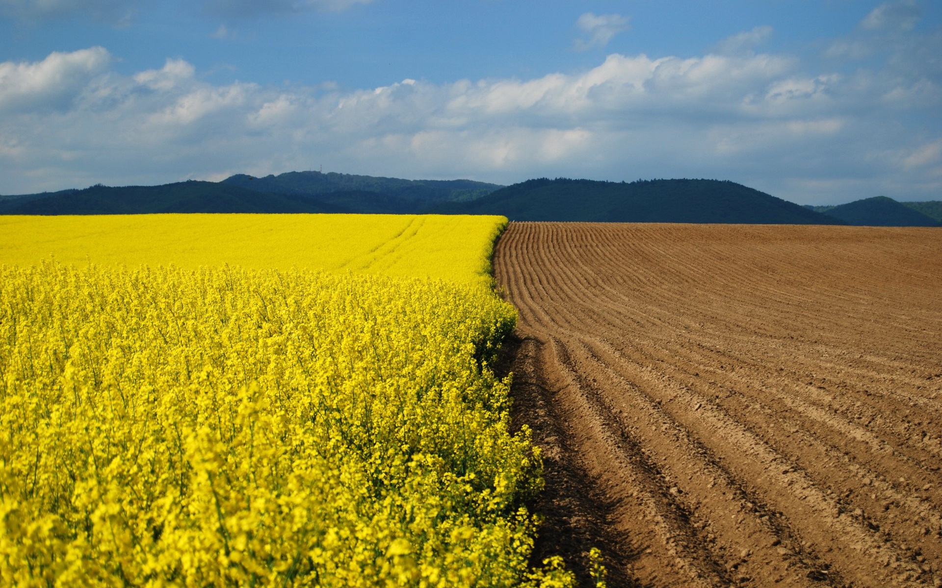 Earth Has Lost a Third of Arable Land in Past 40 years