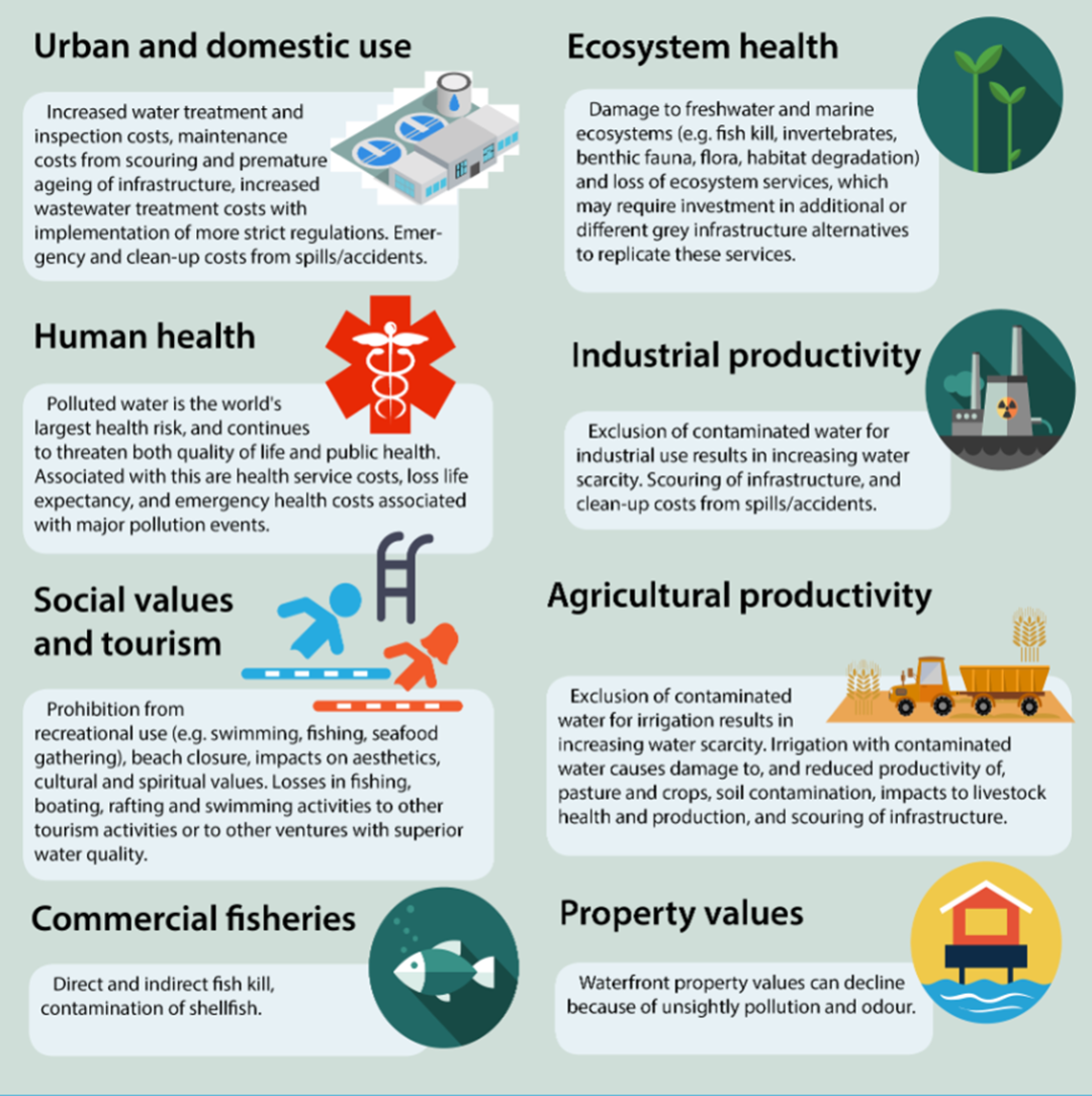 What Are The Impacts Of Water Pollution The Water Network By AquaSPE