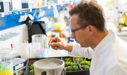 “The end product is what matters” | Genome editing - a better way to breed crops