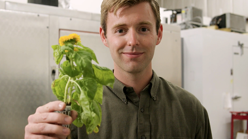 Aeroponic seed pods that grow produce in controlled environments