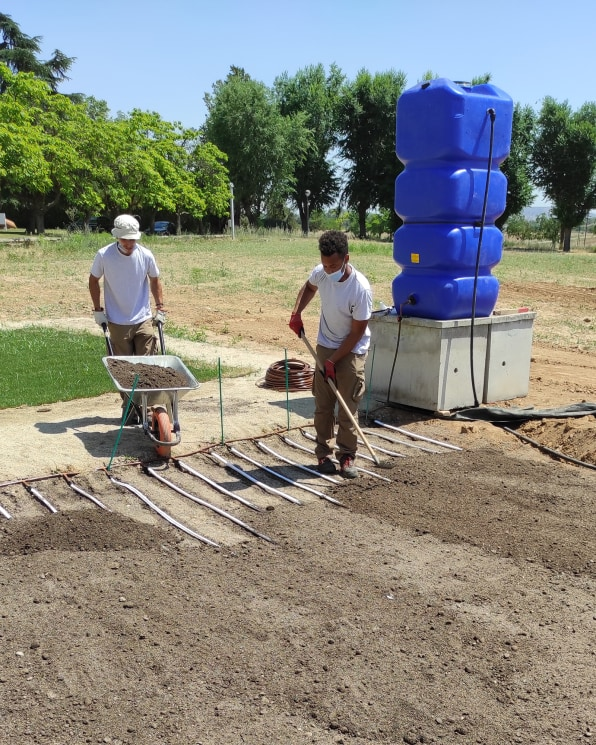 This irrigation system talks to plants to find out when they need water