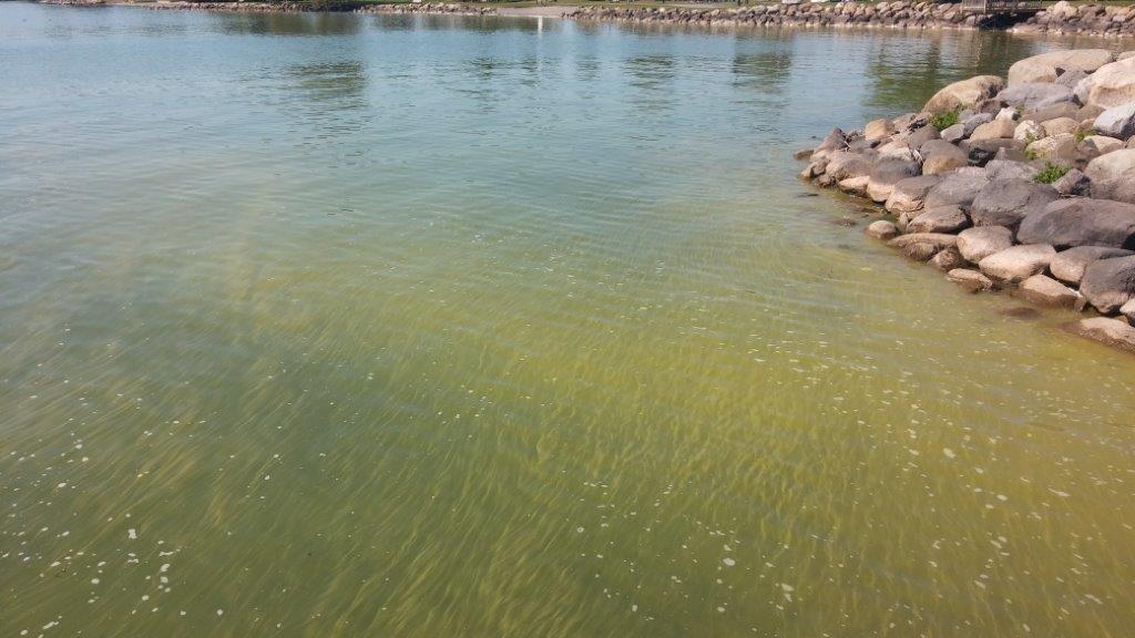 Canandaigua Lake Water Treatment Plants Keep Out Toxins