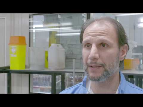 Pee-Powered Urinals Create Electricity And Kill Pathogens