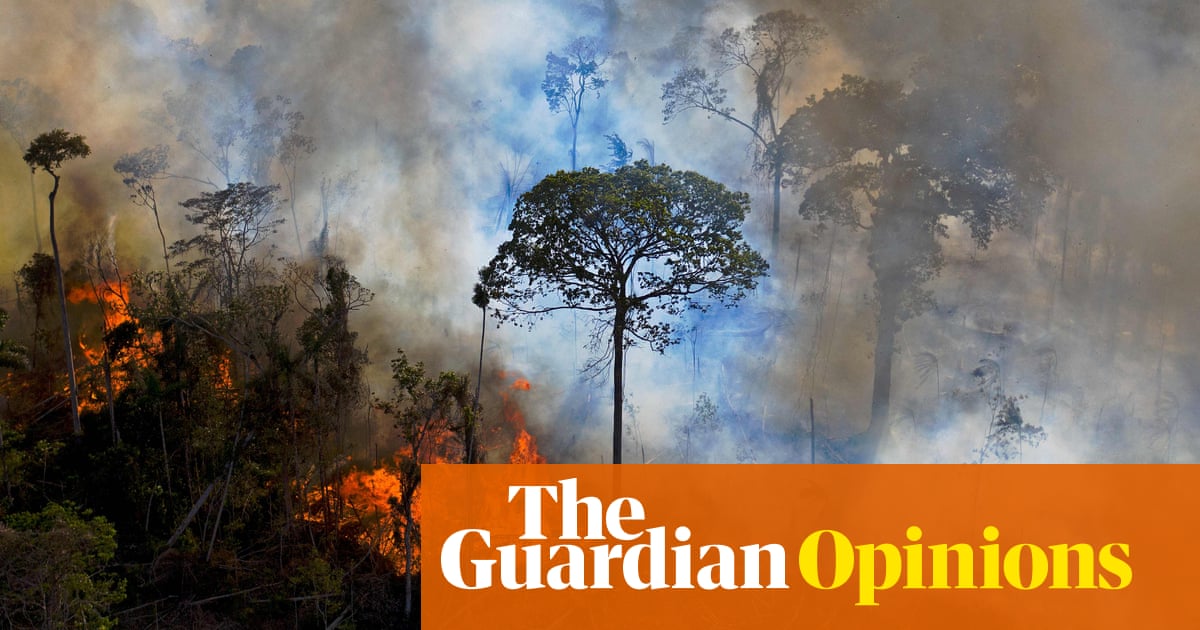 From the Amazon to Australia, why is your money funding Earth&rsquo;s destruction? | George Monbiot