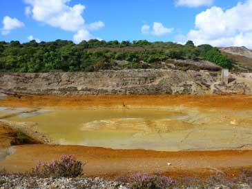 Algae Cleans Mine Water 