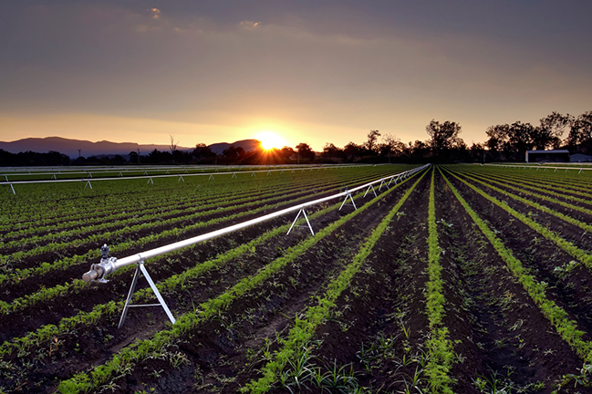 China to Invest in Aus­tralian Agriculture