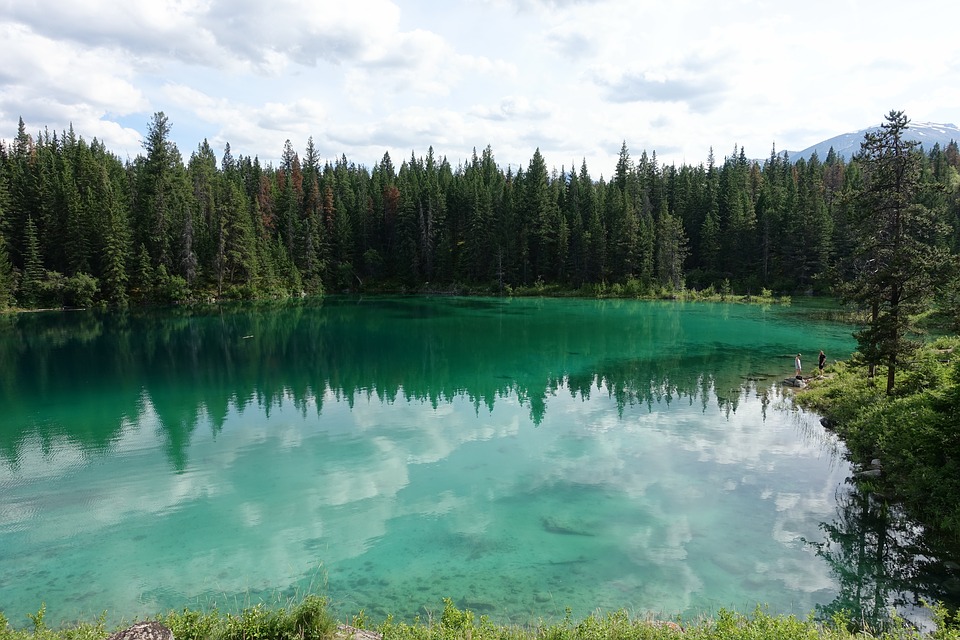Combined Nutrients and Warming Massively Increase Methane Emissions from Lakes