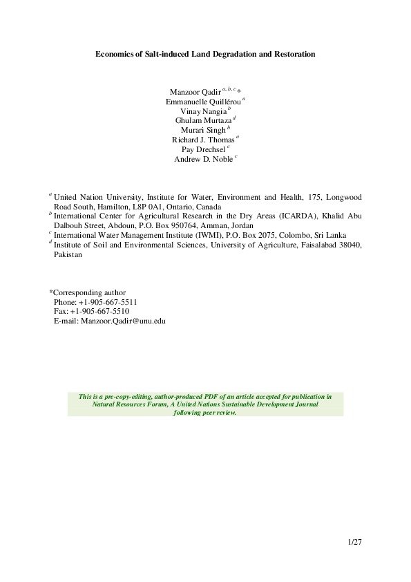 Economics of Salt-induced Land Degradation and Restoration