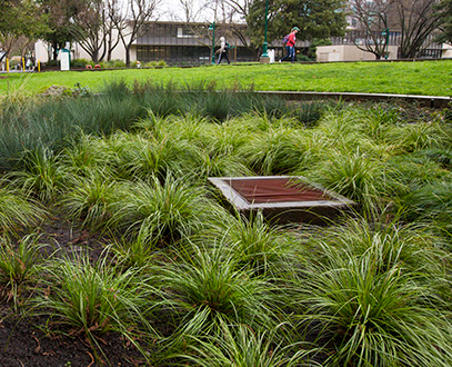 Innovative Stormwater Project Nurtures the American River