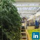 Eric Bremiller, Morrisville State College - Greenhouse Manager- Controlled Environment Agriculture