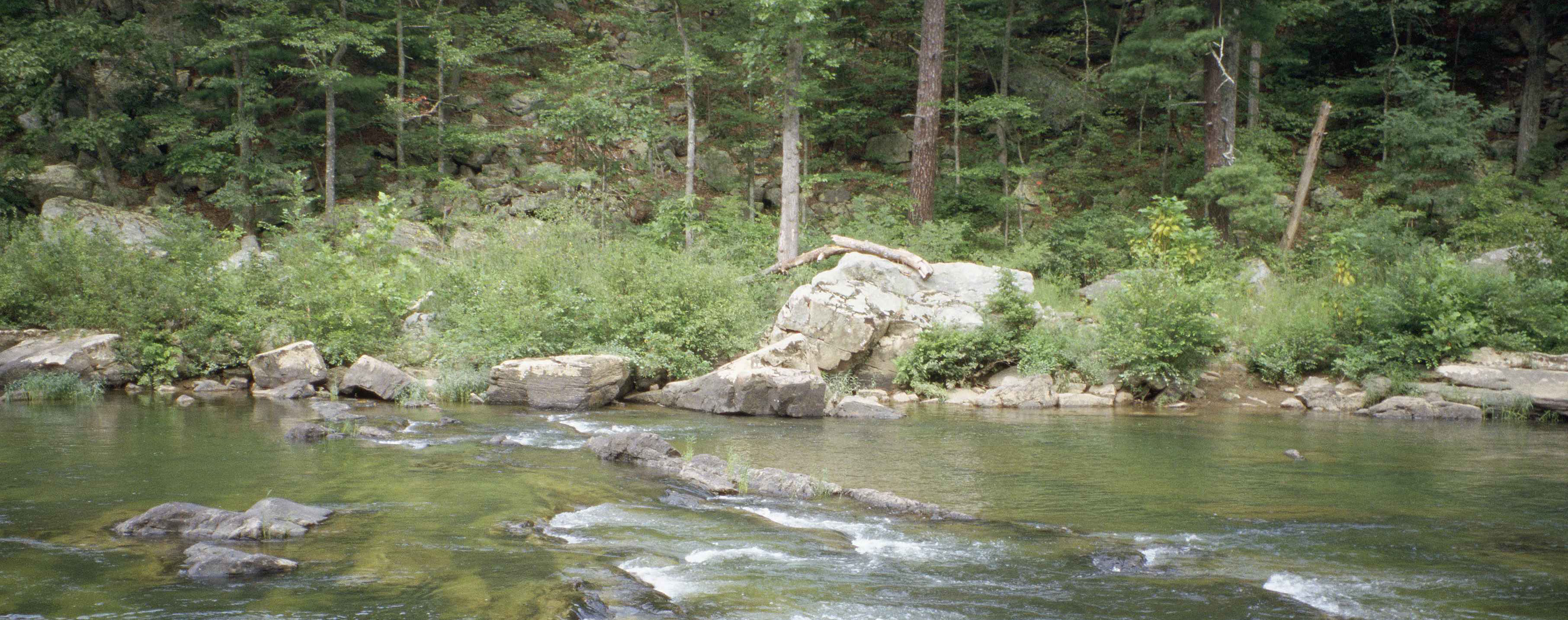 How Climate Change Dries up Mountain Streams