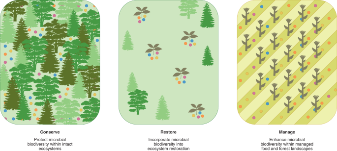 Defending Earth&rsquo;s terrestrial microbiome - Nature Microbiology