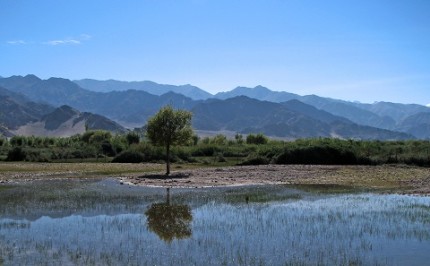 Water Wars and Dam construction in the Kabul-Indus basin