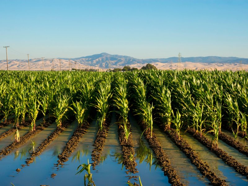 Agriculture and Water Activity