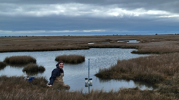 Water Column Offers Insight On Salt Marsh Carbon Cycle