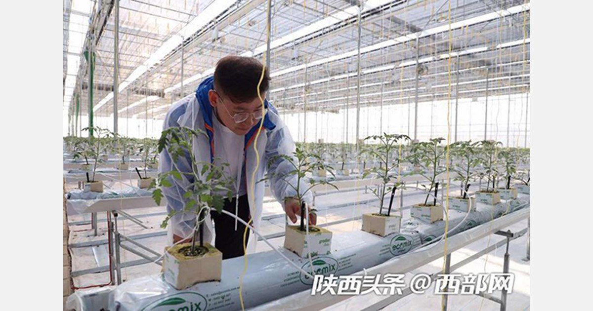 China and Israel draw a new chapter in smart agriculture