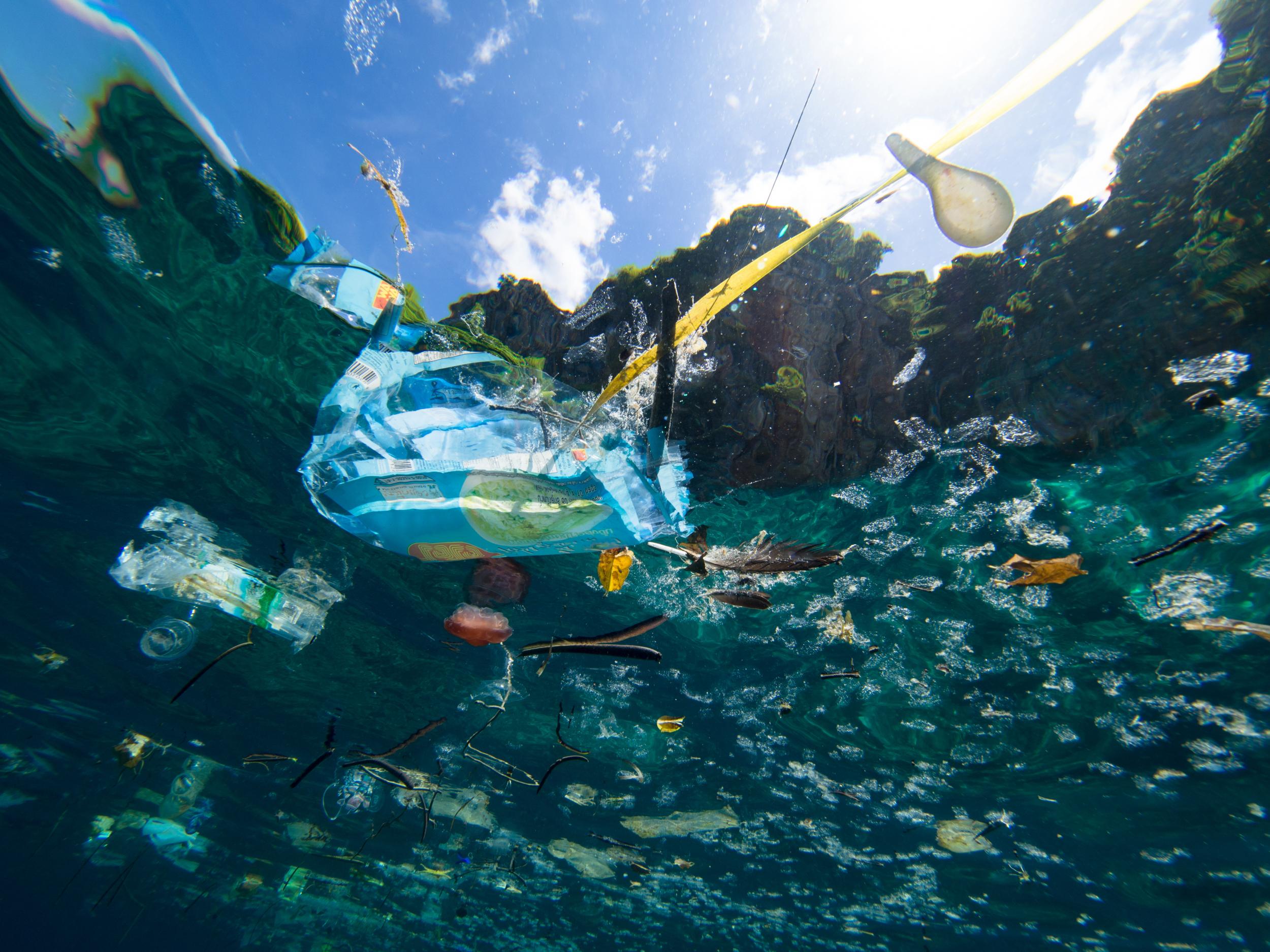 Two more giant plastic ‘garbage patches’ may have just been found in the ocean