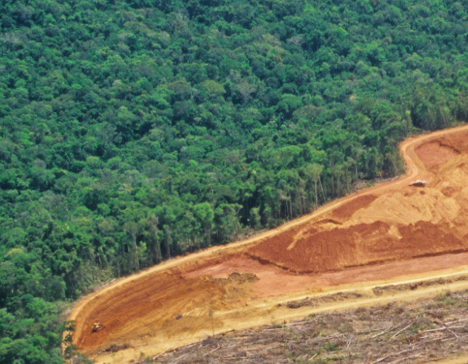 Why a Tree Falls in Brazil When a Dam is Built in the Mekong