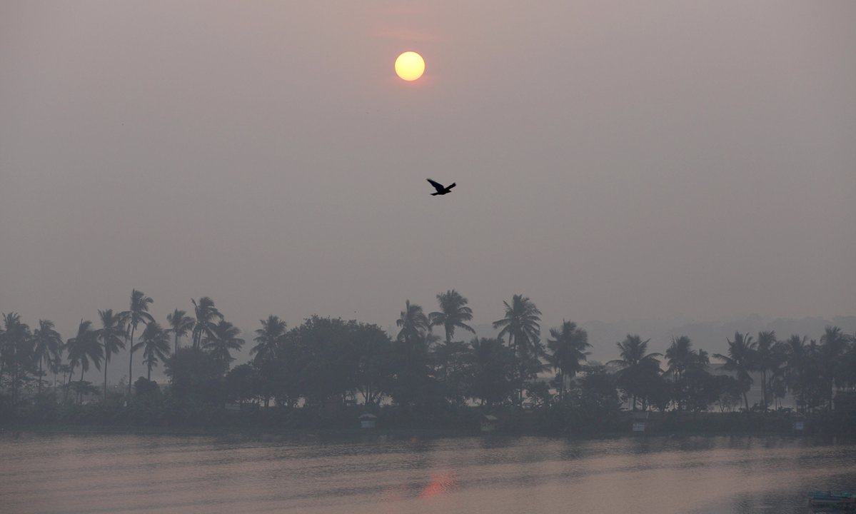 The Miracle of Kolkata's Wetlands