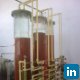 Sophen Peng, Dongli Chemical - Sales