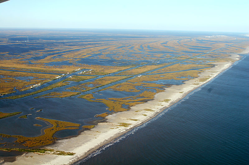 Determine the Vulnerable Coastal Wetlands