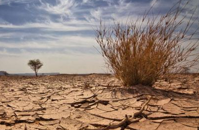 Suqia Launches Water Projects for 90,000 People in Somalia