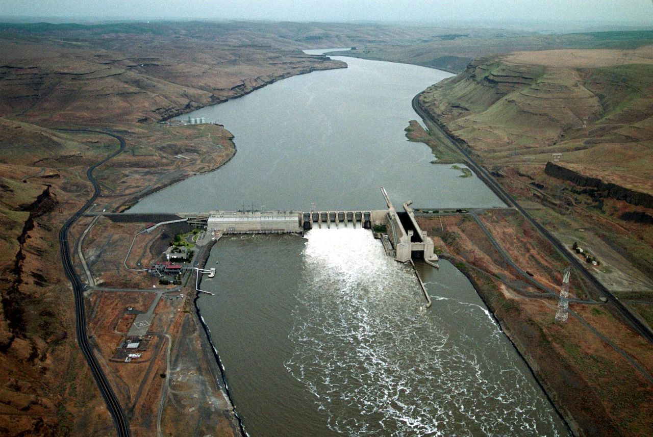Gov. Kate Brown endorses removal of 4 Snake River dams
