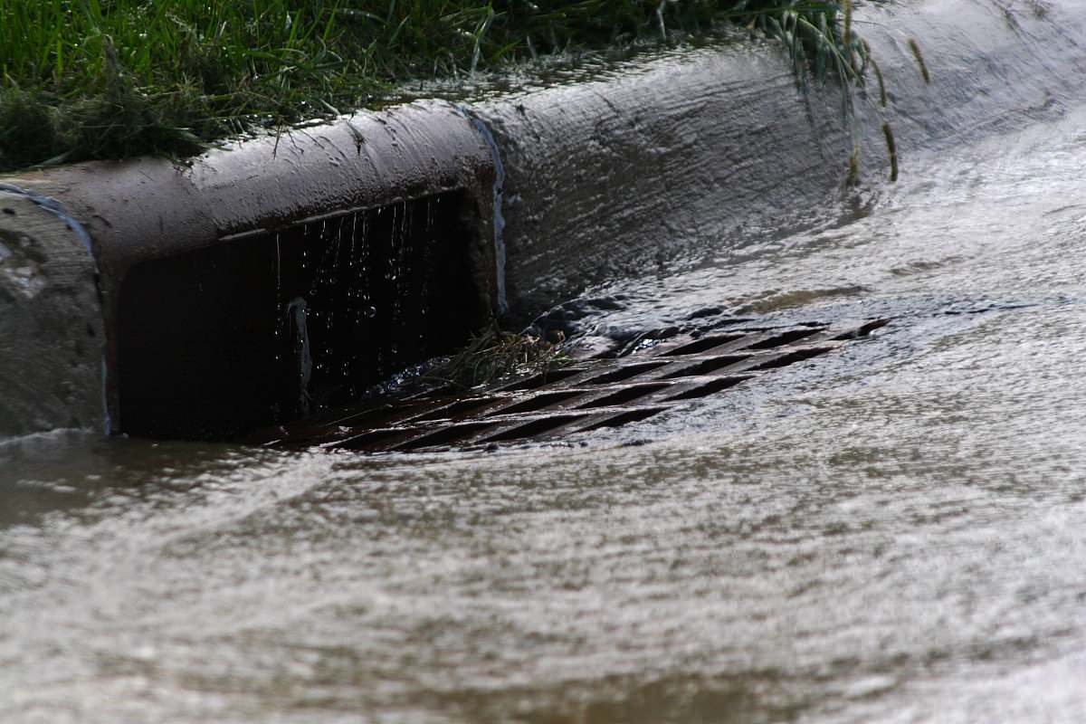 Heavier Rainfall Will Increase Water Pollution in the Future