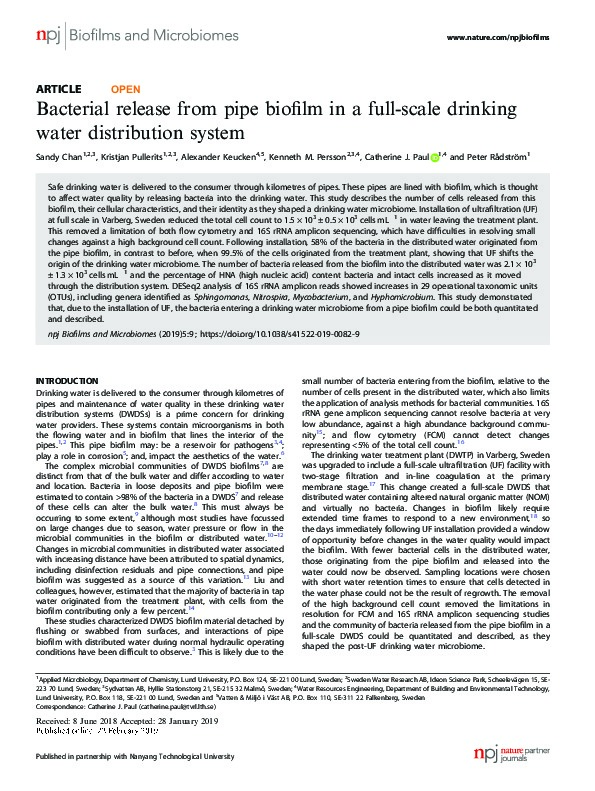 Bacterial Release from Pipe Biofilm in a Full-scale Drinking Water Distribution System