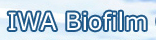 Biofilm Conference 2011: Processes in Biofilm