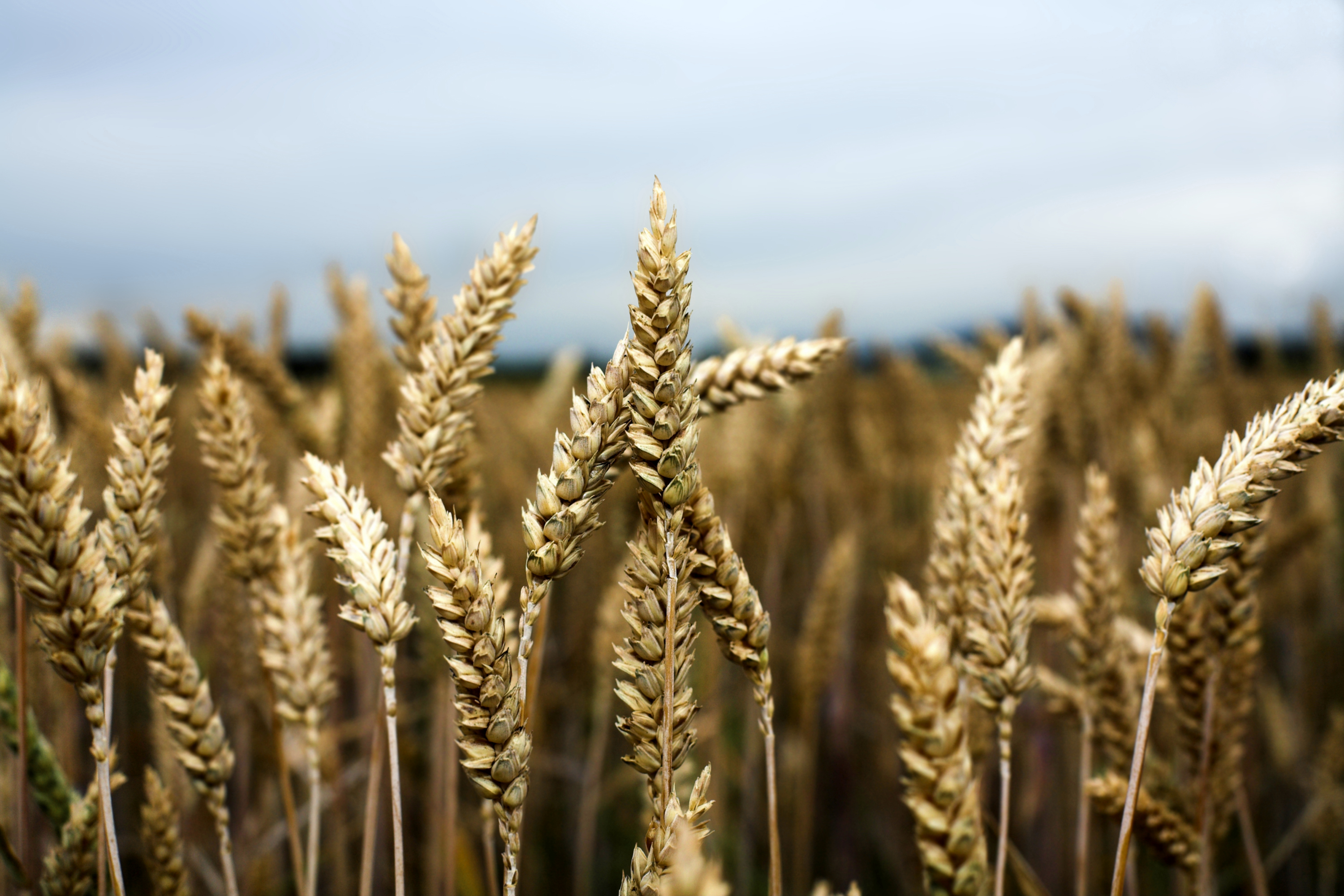 Farming Smarter with Big Data