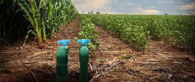 Tech to Tackle Irrigation Inefficiencies