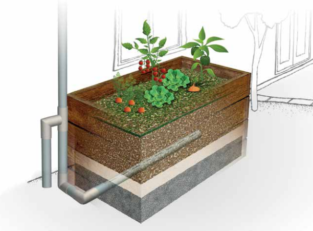 Saving Stormwater with a Veggie Raingarden