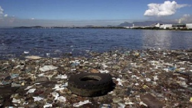 Forecasting System for Bay Clean-up Goes Operational