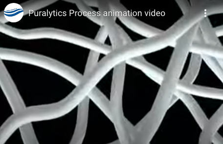 Puralytics Process animation video