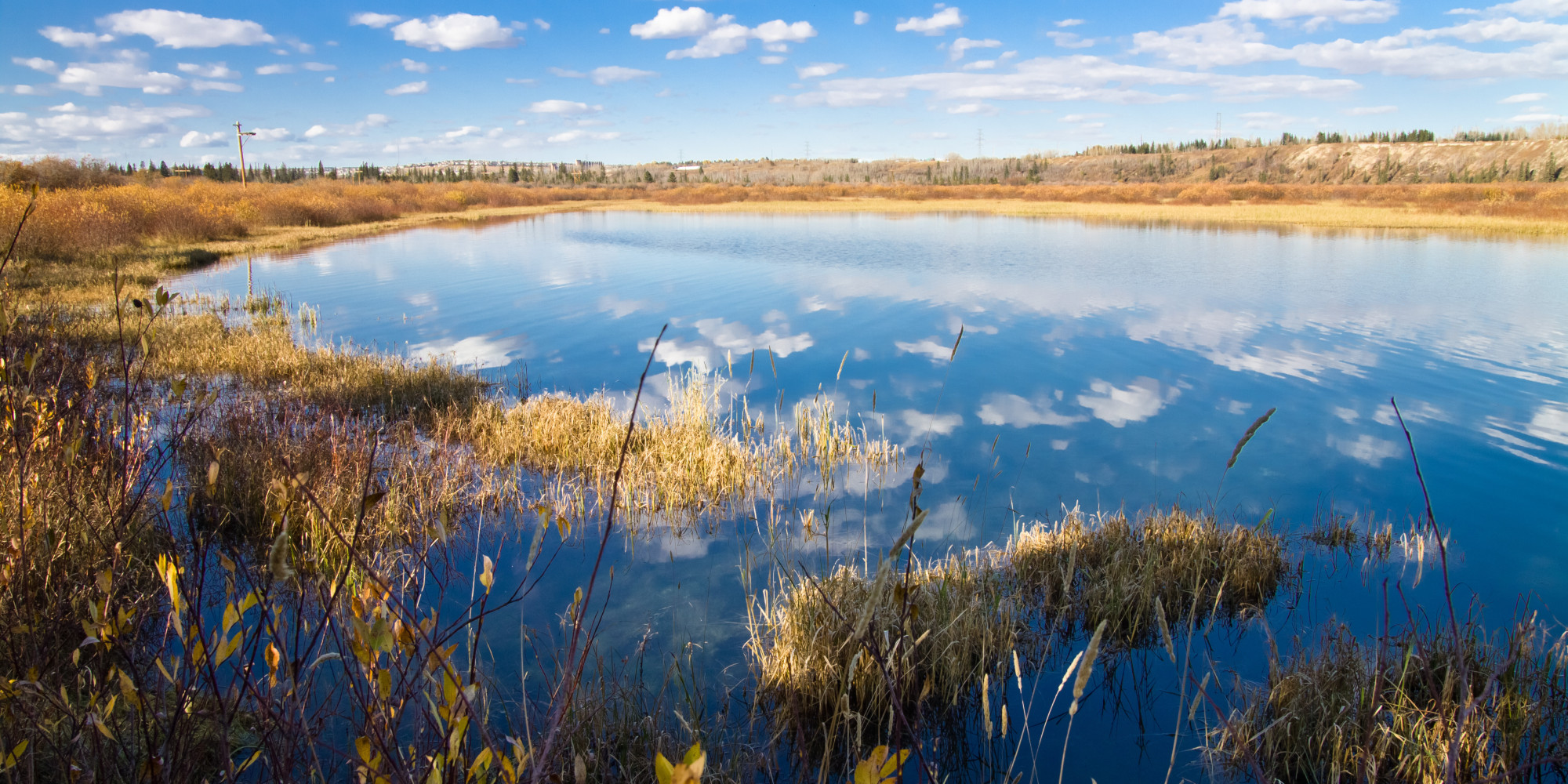 Green Infrastructure Key to Solving 21st Century Water Crises