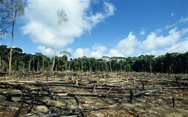 Increased Deforestation Could Substantially Reduce Amazon Basin Rainfall